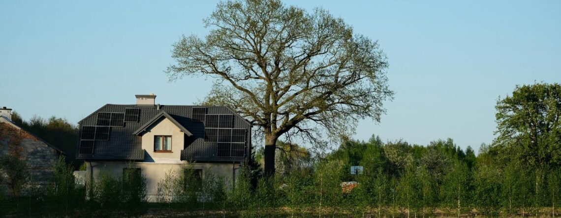 Analysis of Eco-Friendly Lifestyle Benefits